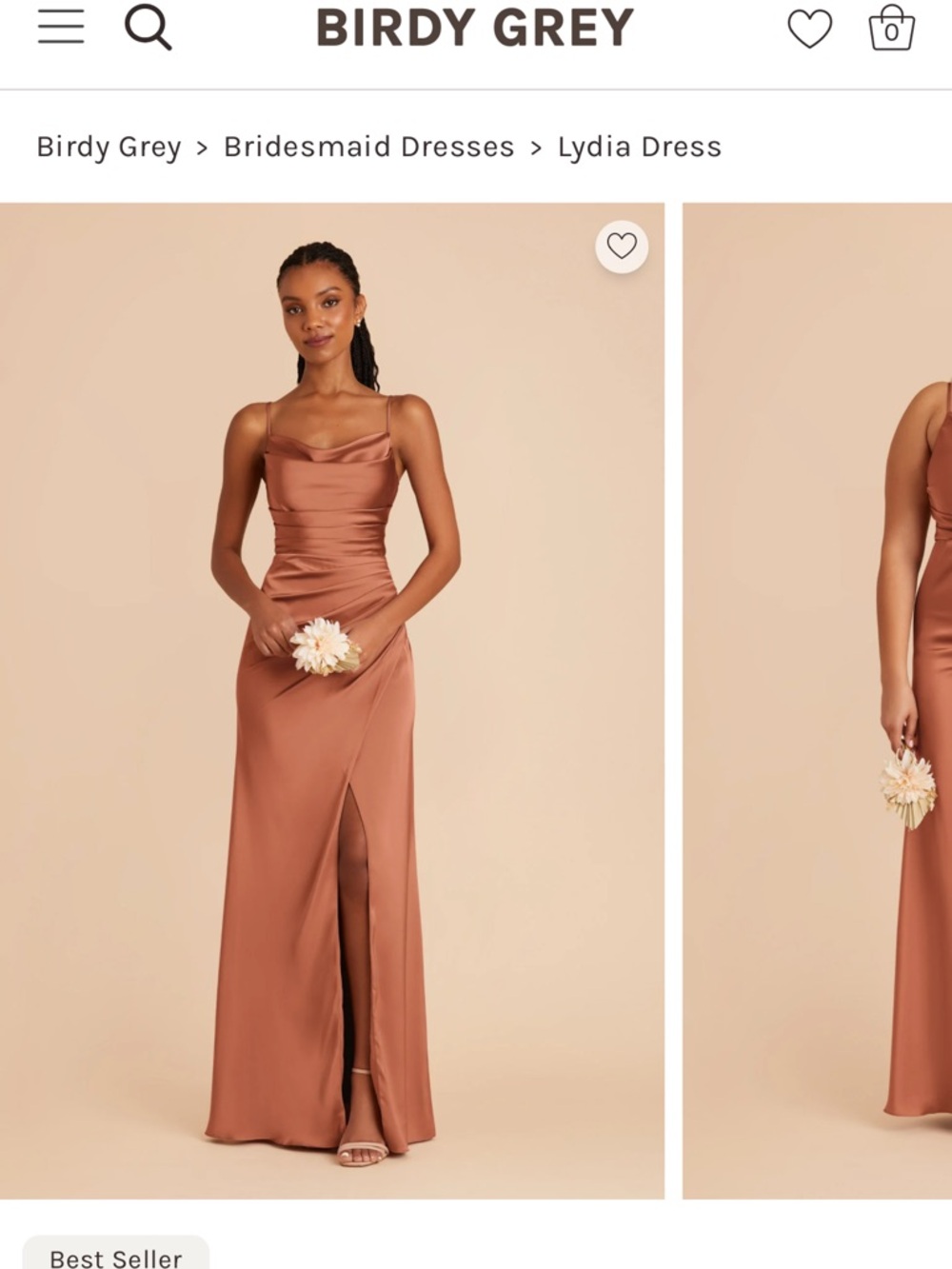 Birdy Grey Lydia Satin Slip Dress in Terracotta